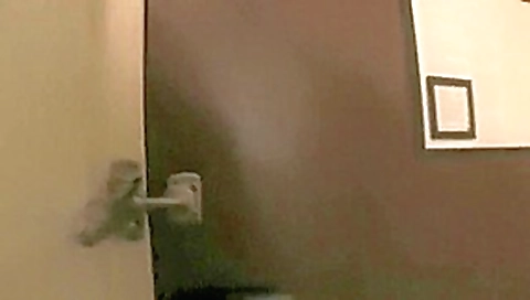 Private Casting-X - She is bisexual and loves dick